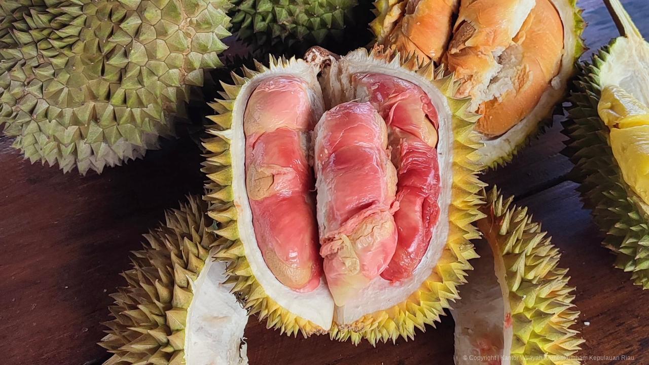 Durian_merah_banyuwangi-02.jpeg