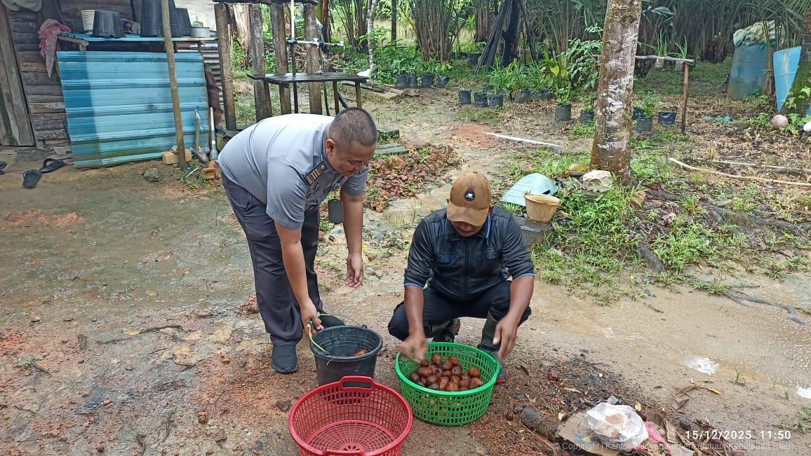 MPIG-Salak-Sari-Intan-Bintan_04.jpeg